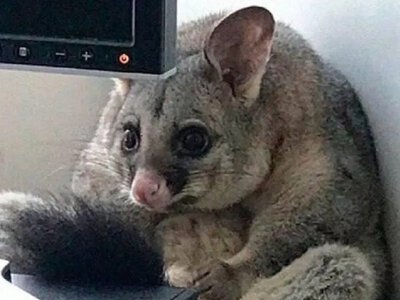 Одесский юмор: что можно заработать вместо денег и самый лучший антидепрессант