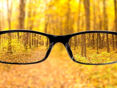 Эпидемия близорукости. Ученые обнаружили назвали неожиданную причину