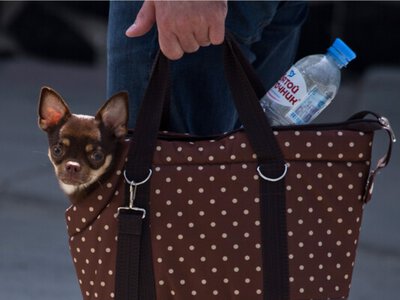 Цены на продукты в Крыму стали отпугивать туристов – экскурсовод