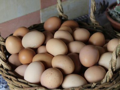 Подешевеют ли яйца после Пасхи: эксперт назвал главное препятствие