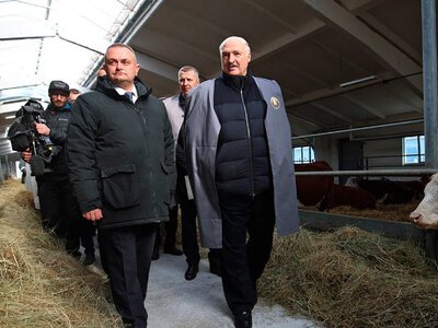 Лукашенко подарили беременную телочку