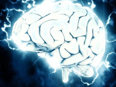 10 наглядных фактов о том, как промыть мозги кому угодно