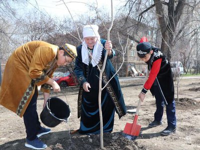 В Алматы в Жаңару күні высадили более 400 деревьев