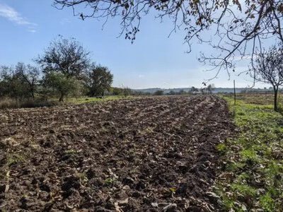 Земельный налог: предусмотрены ли льготы для людей с 3-й группой инвалидности