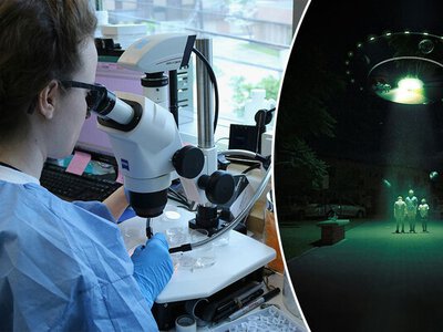 Несколько ученых, связанных с исследованием НЛО, исчезли или погибли при схожих обстоятельствах