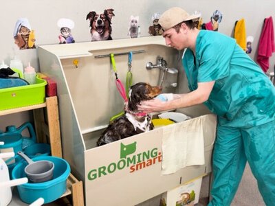 Вместо репортажей — уход за собаками. Кыргызстанец оставил профессию журналиста, уехал за рубеж и стал грумером