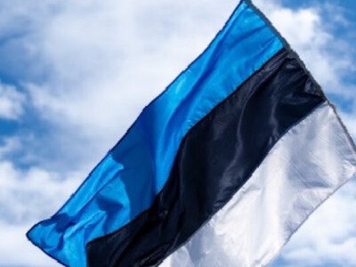 Эстония неожиданно «наехала» на США