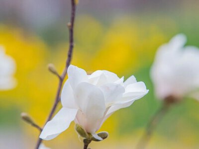 Синоптики прогнозируют апрельские грозы - циклон принесет теплую погоду с дождями