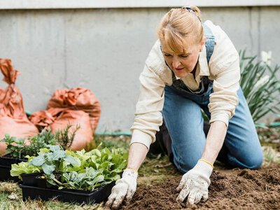 5 овощей, которые можно сажать в апреле: хорошо переживут дожди или засуху