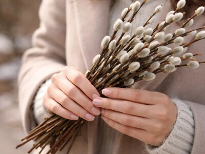 Вербное воскресенье уже на пороге: что следует успеть сделать, чтобы не проспать год