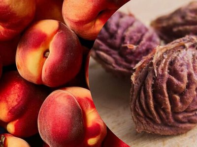 Каждый год будет полно сочных плодов: как вырастить персиковое дерево