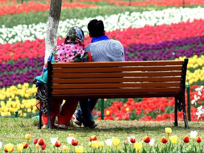 Невероятное зрелище! Как выглядит самый большой сад тюльпанов в Азии
