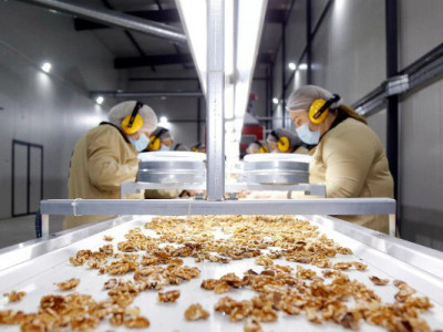 Доходы Грузии от экспорта агропродукции выросли на 15%, основным рынком остается Россия