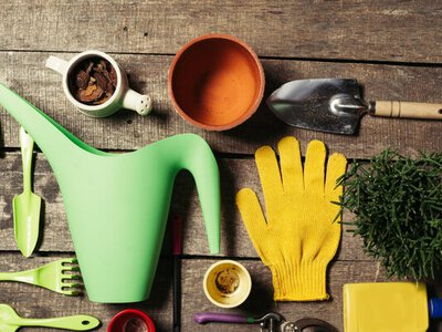 Какие садовые инструменты действительно нужны: минимум без лишних затрат