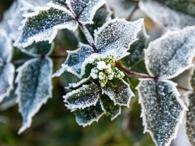 В Украину идет резкое похолодание с дождями и мокрым снегом