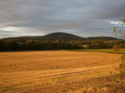 Рынок земли в Украине изменился: гектар стремительно дешевеет, но спрос растет