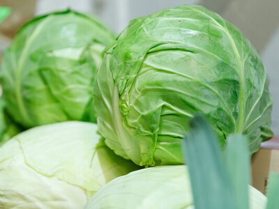 На этой неделе в столице пройдут продуктовые сельскохозяйственные ярмарки