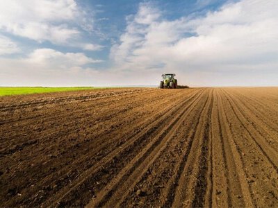 Посевную уже начали аграрии всех областей - что сеют и какие регионы в лидерах