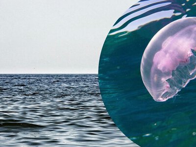 Азовское море приближается к катастрофе из-за эксперимента России, – Центр нацсопротивления