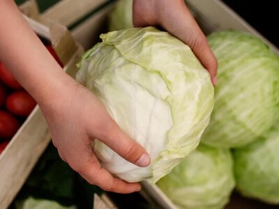 Дешево и полезно: почему стоит чаще есть капусту