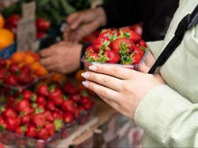 Клубничный сезон 2026: откуда везуть первые ягоды и когда цены станут «слаще»