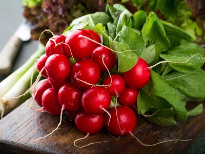 Весенние витамины или нитраты - стоит ли давать ребенку раннюю редиску