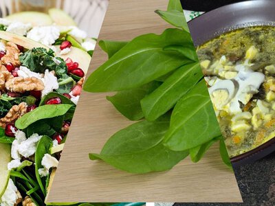 Сейчас щавель самый вкусный: что из него приготовить уже сегодня