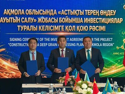 В Акмолинской области построят крупный завод по глубокой переработке зерна