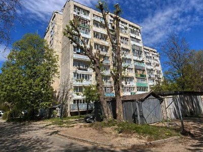 Во Львове отчитались об обрезке дерева ИИ-изображением: в горсовете объяснили