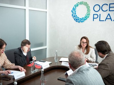 Продажа Ocean Plaza и санкционных активов: правительство планирует привлечь от приватизации 13 млрд. грн.