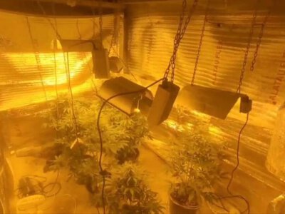  Дом с двойным дном скрывал крупную наркоферму в Уральске 