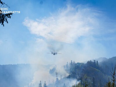 В Украине локализовали два масштабных лесных пожара - угрозы населенным пунктам нет