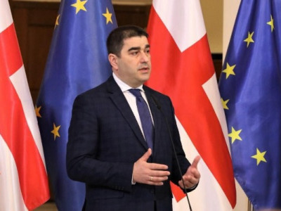 Грузии не нужно указывать путь в Европу — письмо Шалвы Папуашвили послу ЕС