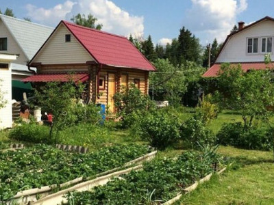 Готовьте почву сейчас: как обеспечить обильный урожай после зимы