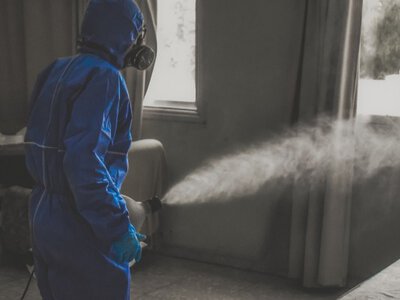 Болезнь, от которой нет зарегистрированной вакцины, убила более 100 человек