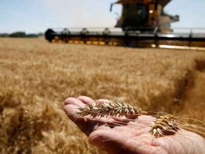 Норвегия профинансирует восстановление земель после разминирования в шести громадах Николаевской области