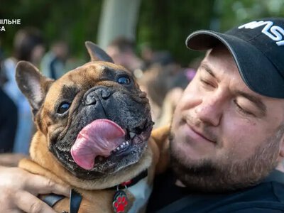 Сотни хрюкающих носов в одном месте: французские бульдоги захватили одесский парк ради рекорда