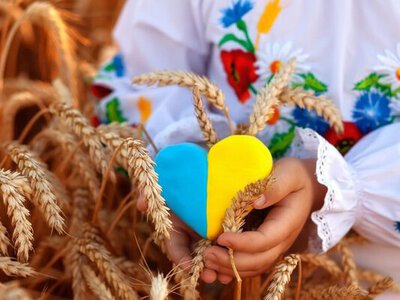 Сакральный код нации: орнаментика, региональные особенности и защита культурного наследия