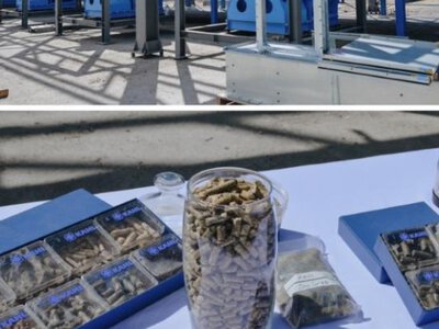 В СКО запустят завод по переработке люцерны 