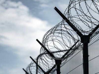  Условно осужденных за кражу скота отправили в колонию 