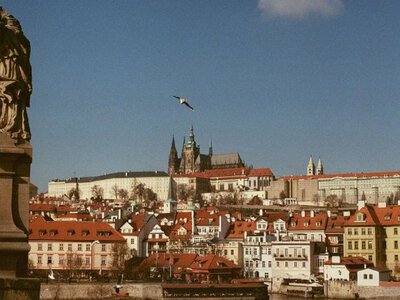 Украинцам в Чехии решили урезать часть льгот: что известно?