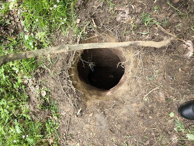 У Литві завернули 38 мігрантів, які прорили тунель під кордоном з білоруссю