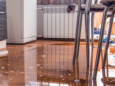 Что делать после залива квартиры: как отстоять свои интересы