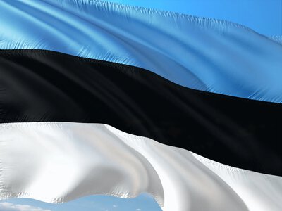 Эстония предостерегла ЕС от прямых переговоров с россией из-за риска стать нейтральным посредником