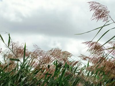 Готовьте тёплые вещи: синоптики предупреждают о резкой смене погоды в Украине с 28 мая