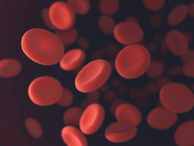 В человеческой крови найден эволюционный артефакт: он древнее самих животных