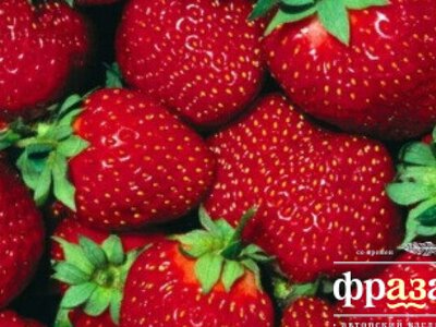 Диетолог поведала о клубнике нечто важное