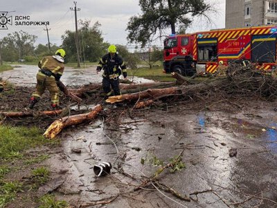 У Запоріжжі негода повалила дерева та пошкодила автівки