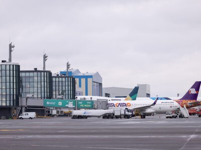  Казахстанские авиакомпании планируют купить до 130 самолетов — Жумангарин 