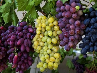 Три причины есть виноград чаще: чем полезен для сердца, кишечника и мозга